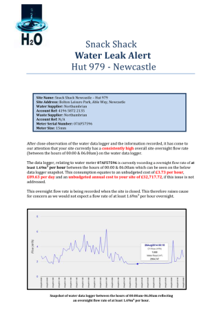 Water leak alert report