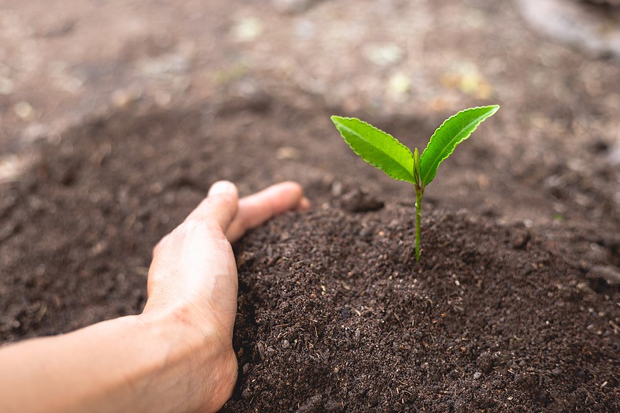 Scientists Call For Stronger Soil Conservation Strategies.