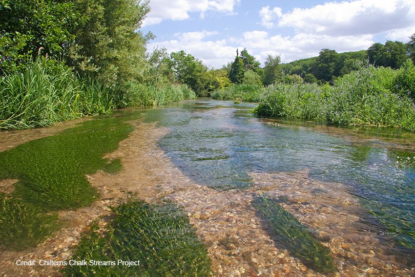 The Importance Of Chalk Stream Restoration H2O News