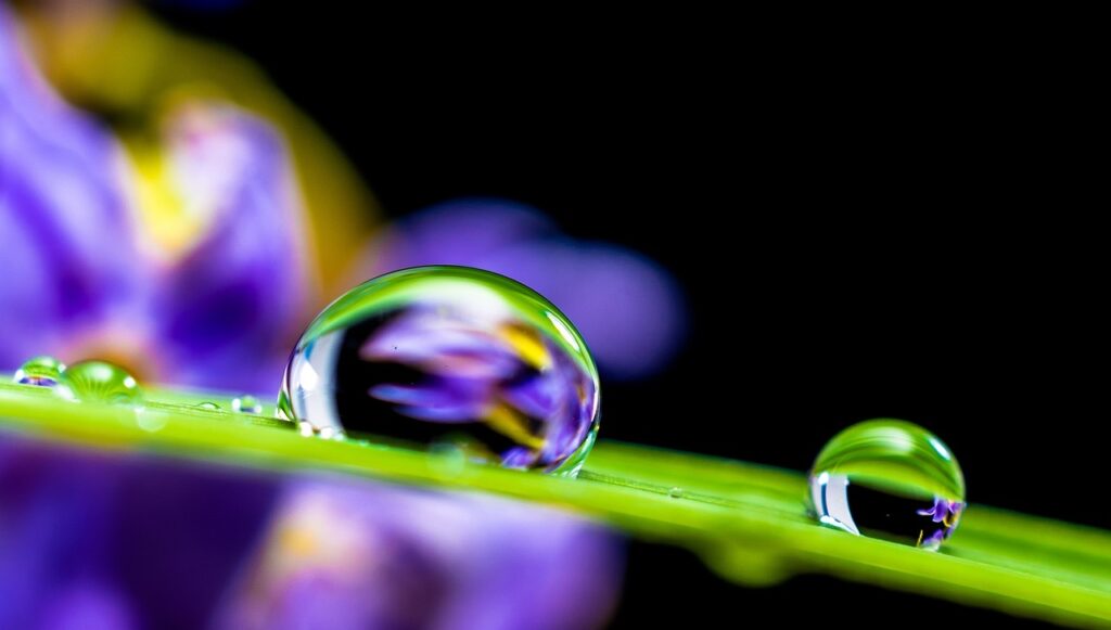 Water management - H2O Building Services 